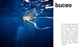 Buceo Con Instructor #Wordpress-Themes-Es-Seo-One-Item-Suffix