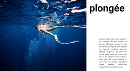 Fonctionnalité De Mise En Page Pour Plonger Avec Un Moniteur