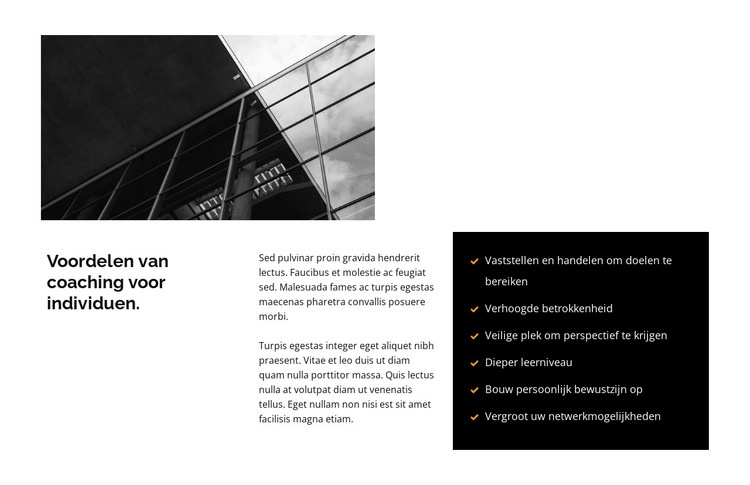 Bouw van grote centra Website mockup