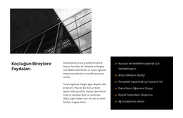 Büyük Merkezlerin Inşaatı - Özel Web Sitesi Tasarımı