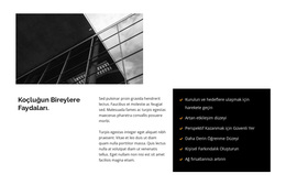 Büyük Merkezlerin Inşaatı - Ücretsiz WordPress Teması