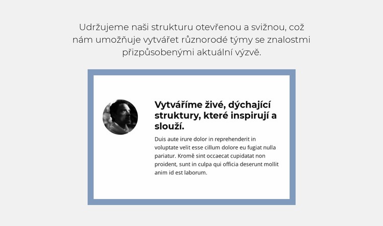 Objektivní recenze Šablona CSS