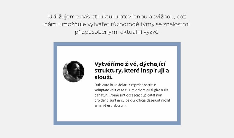 Objektivní recenze Šablona HTML