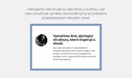 Objektivní Recenze – Profesionální Téma WordPress