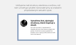 Objektivní Recenze – Bezplatný Návrh Webových Stránek