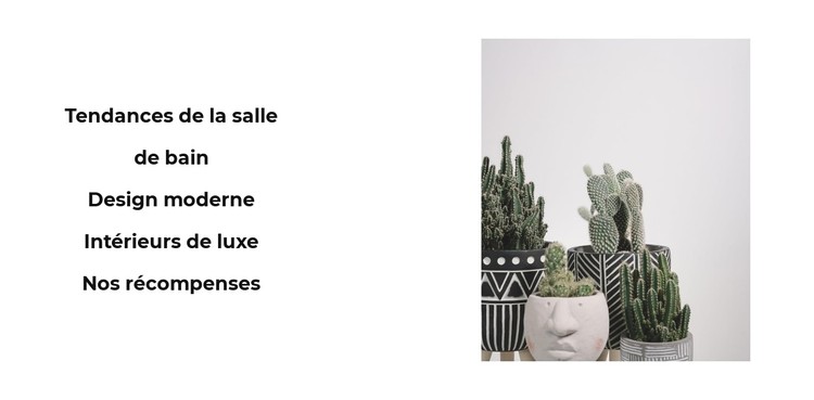 Éléments de décor Modèle CSS