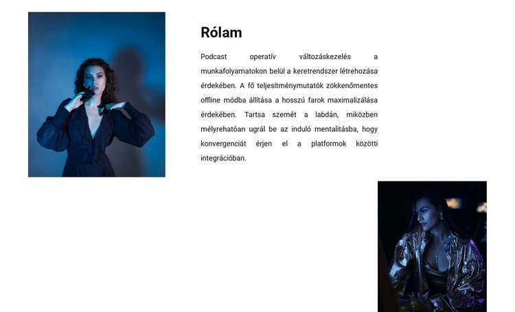 A gyűjteményemről HTML Sablon