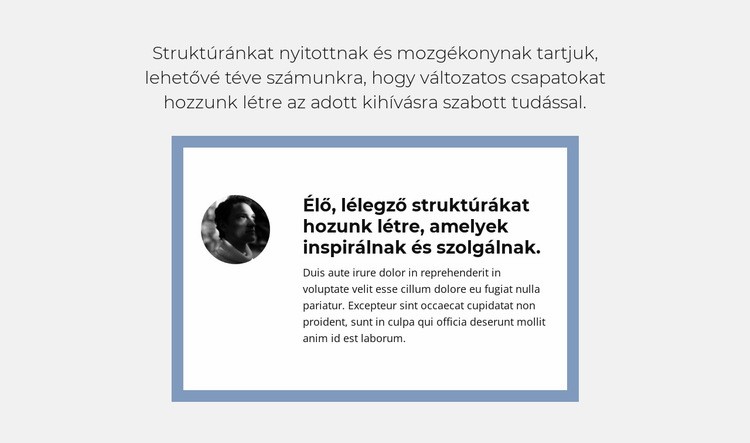 Objektív felülvizsgálat Weboldal sablon