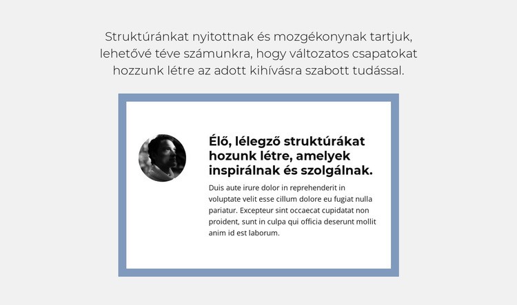 Objektív felülvizsgálat WordPress Téma