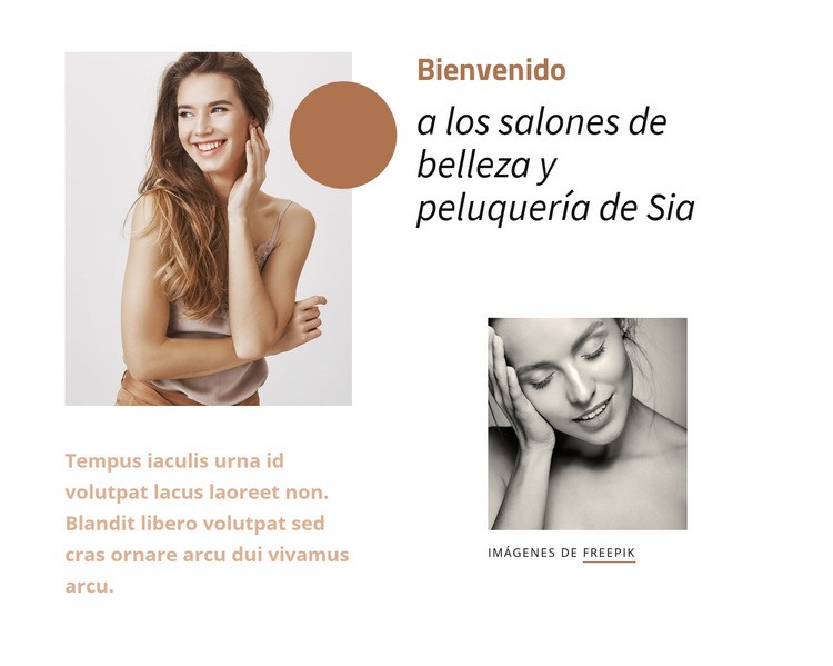 Salón de belleza y peluquería Sia Maqueta de sitio web