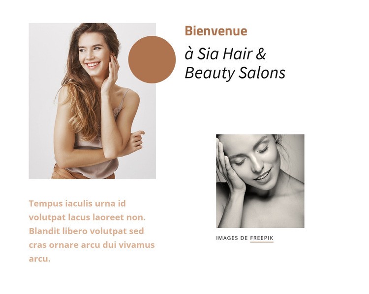 Salon de coiffure et de beauté Sia Modèle CSS