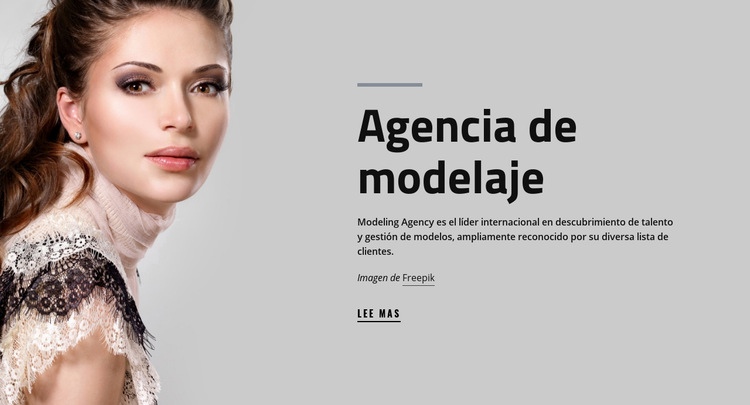 Agencia de modelos y moda Diseño de páginas web