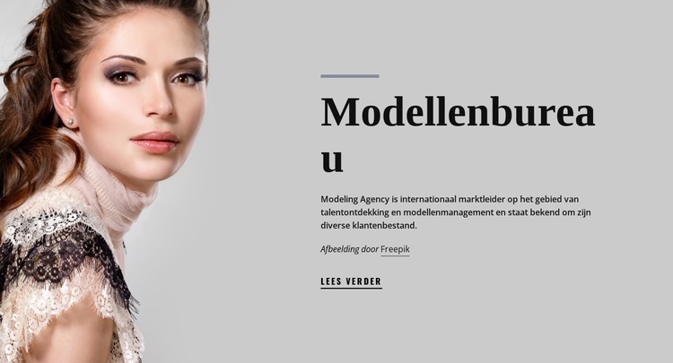 Modellenbureau en mode WordPress-thema