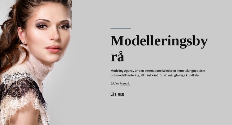 Modellbyrå och mode CSS -mall