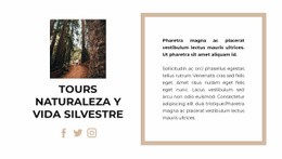 Paseo Por El Cañón - Hermoso Diseño De Sitio Web