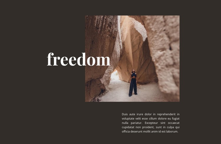 Freedom in the mountains Homepage Design