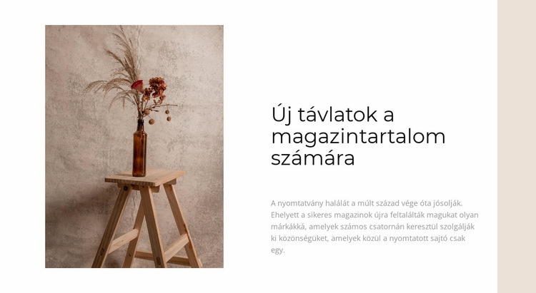 Új otthoni ötletek CSS sablon