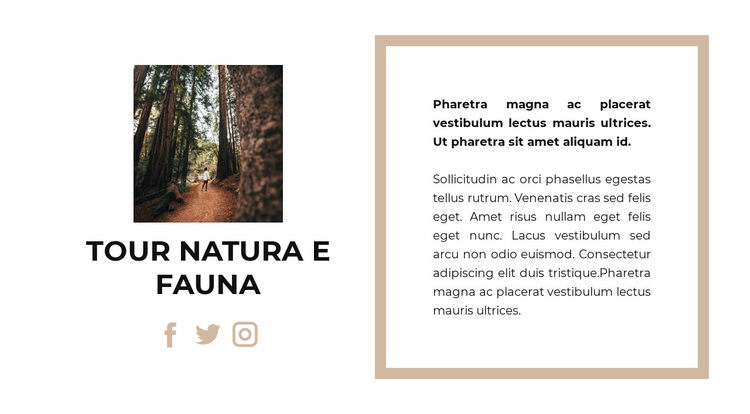 Passeggiata nel canyon Tema WordPress