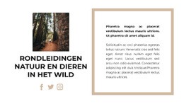 Canyon Wandeling - Prachtig Websiteontwerp