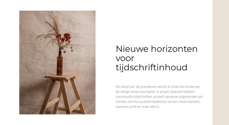 Nieuwe huisideeën Website ontwerp