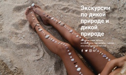 Красивый Морской Загар – Бесплатные Шаблоны