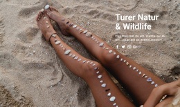 Vacker Havsbrun - Gratis Html5-Temamallar