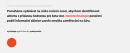 Textový Blok A Kruh – Jednoduchá Šablona Webu