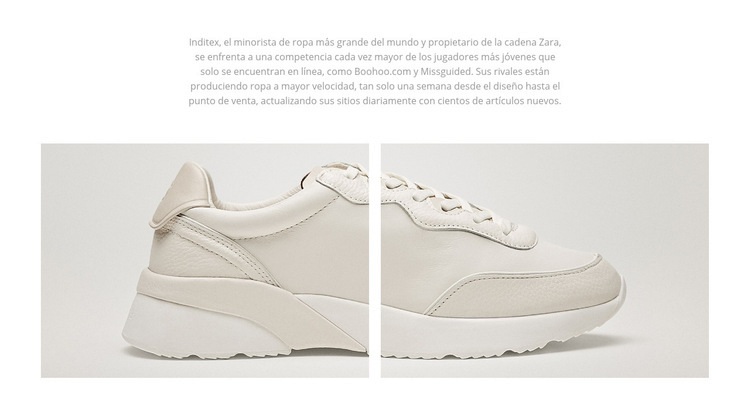 Nueva colección de zapatos de verano Maqueta de sitio web
