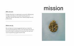 Our Mission And Goals - HTML Designer