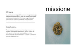 La Nostra Missione E Obiettivi - Pagina Di Destinazione HTML