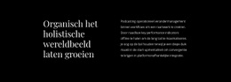 Rubriek Met Tekst - Modern Websitemodel