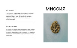 Наша Миссия И Цели HTML-Шаблон Веб-Сайта CSS