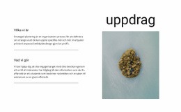 Vårt Uppdrag Och Mål #Html-Templates-Sv-Seo-One-Item-Suffix