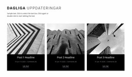 Arkitektur Dagliga Nyheter - Anpassat WordPress-Tema