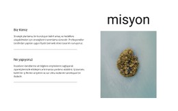 Misyonumuz Ve Hedeflerimiz HTML CSS Web Sitesi Şablonu
