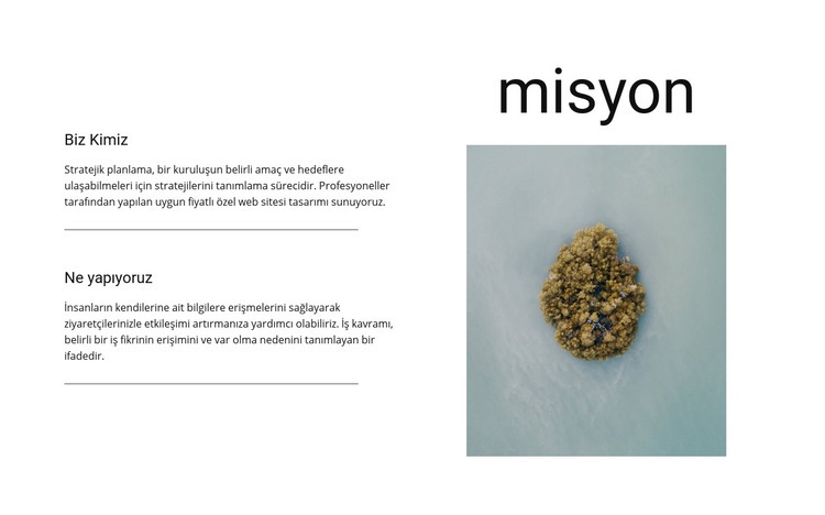 Misyonumuz ve hedeflerimiz Html Web Sitesi Oluşturucu