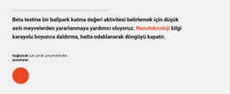 Metin Bloğu Ve Daire - Duyarlı Web Sitesi Şablonları