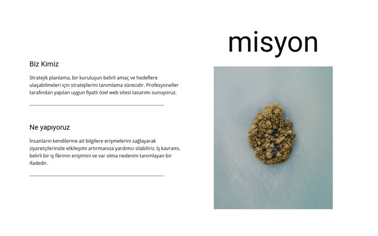 Misyonumuz ve hedeflerimiz Web sitesi tasarımı