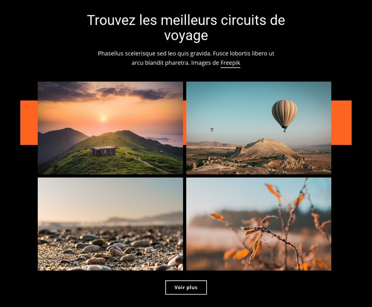 Trouvez les meilleurs circuits de voyage Conception de site Web