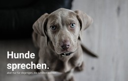 CSS-Rastervorlagenspalte Für Verstehen Sie Ihr Haustier