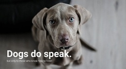 Understanding Your Pet'S - Html Code