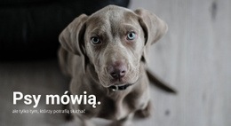 Zrozumienie Swojego Zwierzaka - Najlepszy Projekt Strony Internetowej