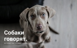 Понимание Вашего Питомца – HTML-Шаблон Сайта