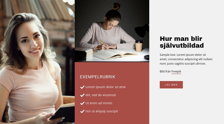 Utbildning utan skola WordPress -tema