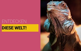 Das Beste Website-Design Für Entdecken Sie Die Wilde Welt