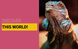 Discover The Wild World - HTML Website Builder