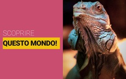 Scopri Il Mondo Selvaggio Modello Di Modulo CSS