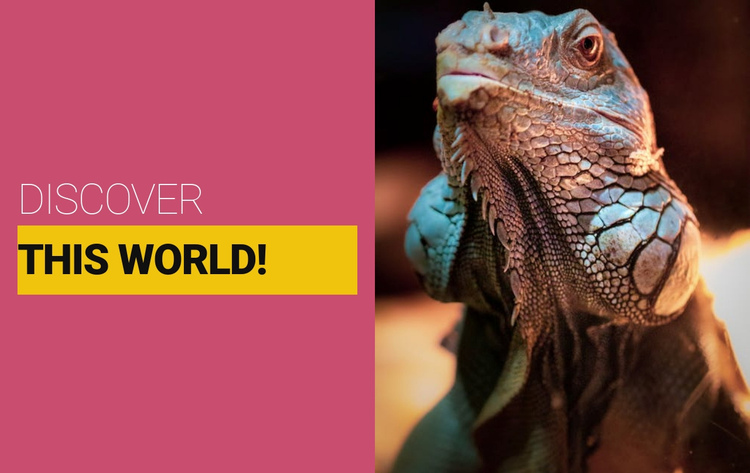 Discover the wild world One Page Template