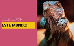 O Melhor Design De Site Para Descubra O Mundo Selvagem