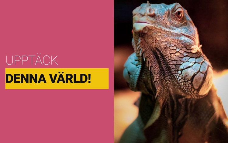 Upptäck den vilda världen HTML-mall